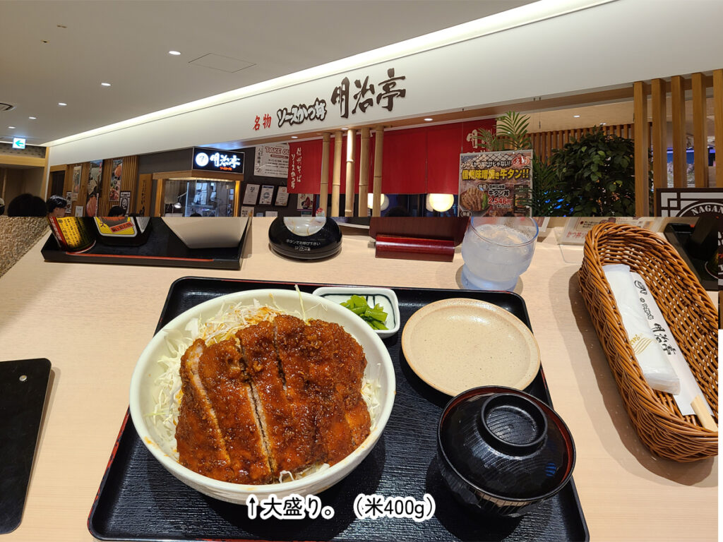 長野駅明治亭のソースカツ丼
